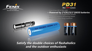  Fenix PD31 R5