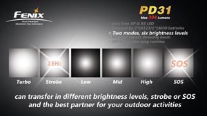  Fenix PD31 R5
